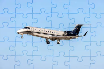  jigsaw puzzle