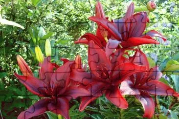 Caricias Al CorazÃ²n jigsaw puzzle