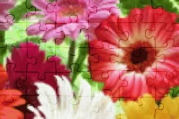 image jigsaw puzzle