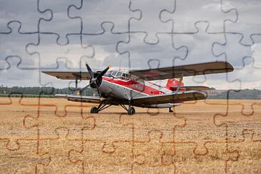  jigsaw puzzle