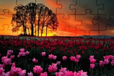 image jigsaw puzzle