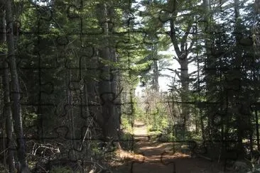 I love this part of the path