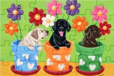 image jigsaw puzzle