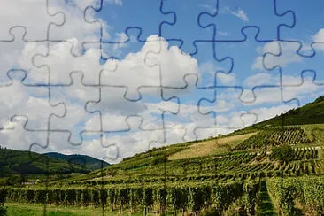  jigsaw puzzle
