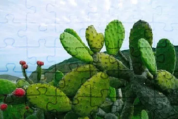  jigsaw puzzle