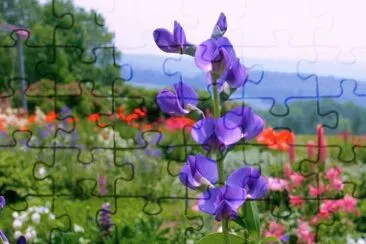 Tall Wild Flower jigsaw puzzle