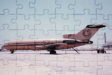  jigsaw puzzle