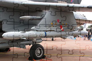  jigsaw puzzle