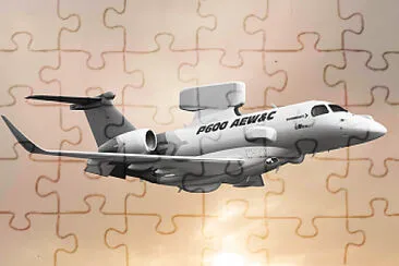  jigsaw puzzle