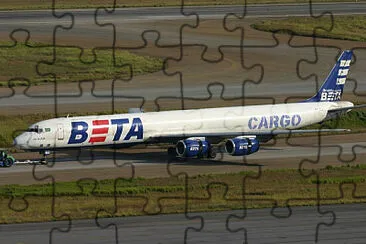  jigsaw puzzle