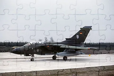  jigsaw puzzle