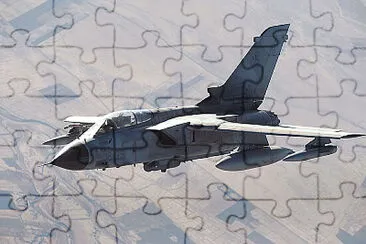  jigsaw puzzle