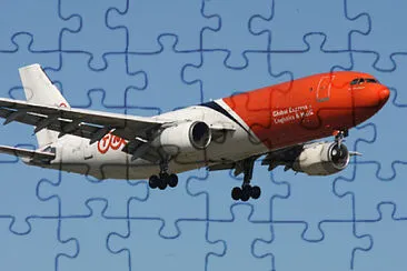  jigsaw puzzle