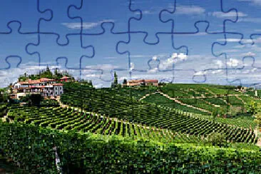  jigsaw puzzle