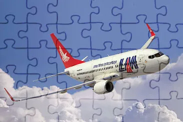  jigsaw puzzle