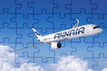  jigsaw puzzle