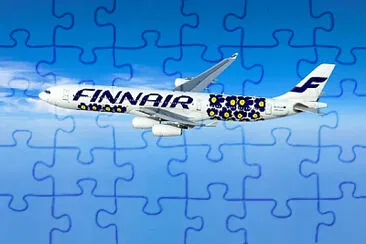  jigsaw puzzle