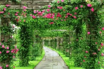 PAISAJE jigsaw puzzle