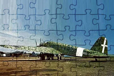  jigsaw puzzle