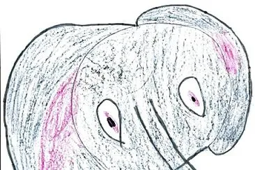 Il puzzle dell 'elefante