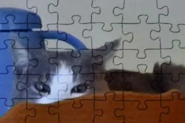 Chat 003 jigsaw puzzle