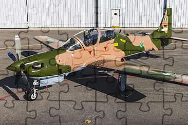  jigsaw puzzle