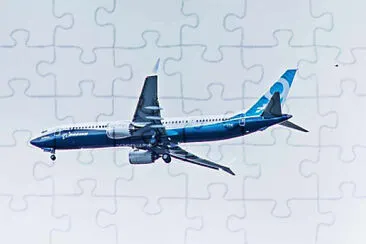  jigsaw puzzle