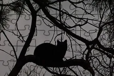 Jacky jigsaw puzzle