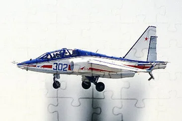  jigsaw puzzle