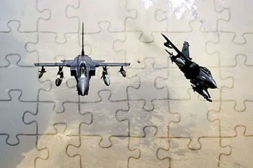  jigsaw puzzle
