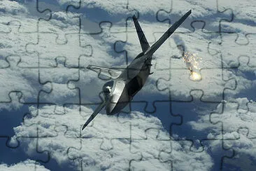  jigsaw puzzle
