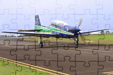  jigsaw puzzle
