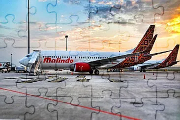  jigsaw puzzle
