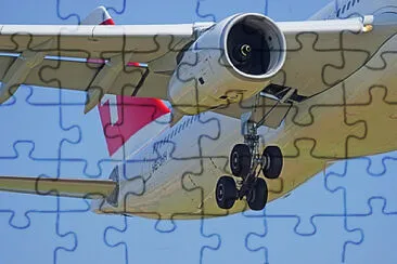  jigsaw puzzle