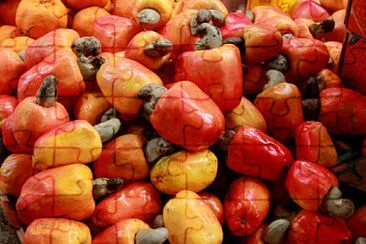 a jigsaw puzzle