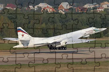  jigsaw puzzle