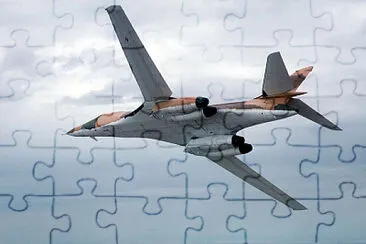  jigsaw puzzle