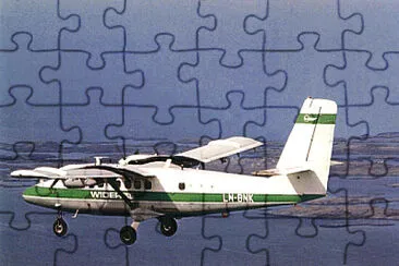  jigsaw puzzle