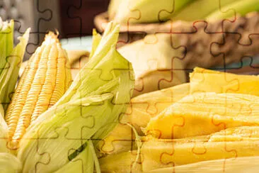 a jigsaw puzzle