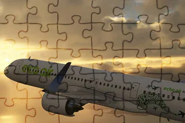  jigsaw puzzle