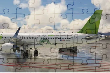  jigsaw puzzle