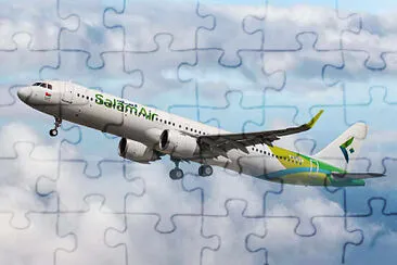  jigsaw puzzle