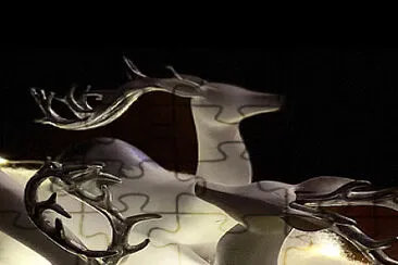 Deer