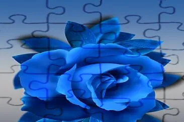 Blue Rose