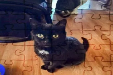 ronnie mcwilliams jigsaw puzzle