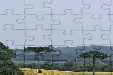 Pinheiros