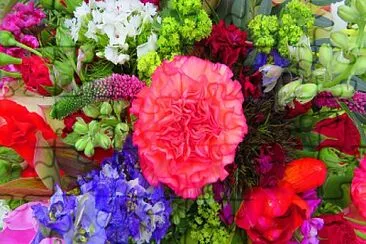 Blumenstrauß