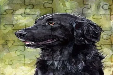 perro negro