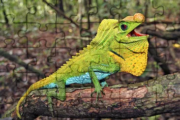 Rompecabezas reptiles jigsaw puzzle
