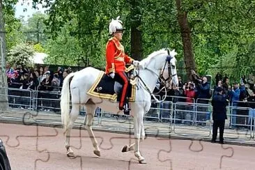 VE Day 80th Anniversary Military Procession